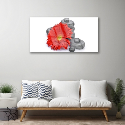 Pintura acrílica Flores de Gérbera Vermelha