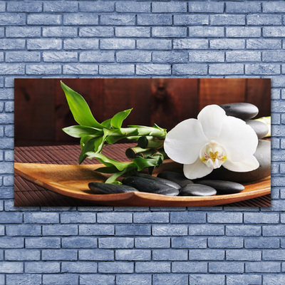 Pintura acrílica Bambu Zen Orquídea Branca
