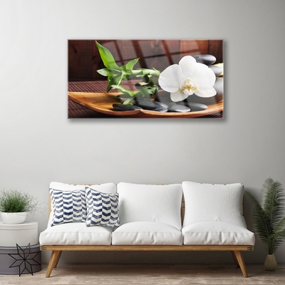 Pintura acrílica Bambu Zen Orquídea Branca