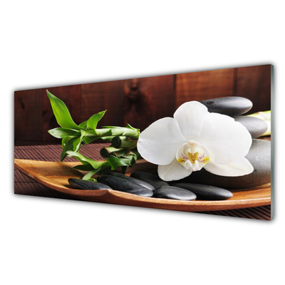 Pintura acrílica Bambu Zen Orquídea Branca