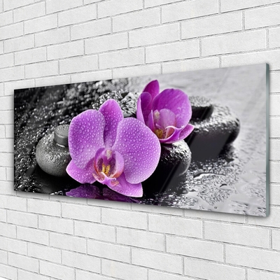 Quadro acrílico Flores de Orquídea Spa de Orquídeas