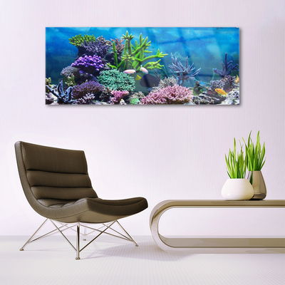 Quadro acrílico Peixes de aquário subaquáticos