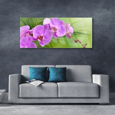 Quadro acrílico Orquídea Flores de Orquídea