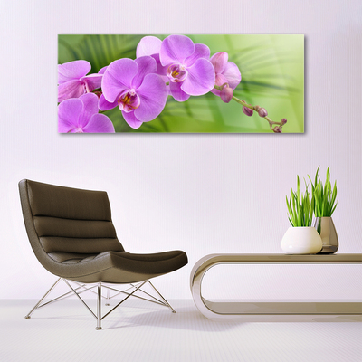 Quadro acrílico Orquídea Flores de Orquídea