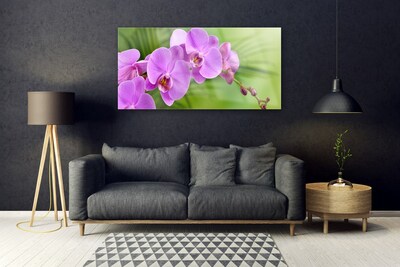 Quadro acrílico Orquídea Flores de Orquídea