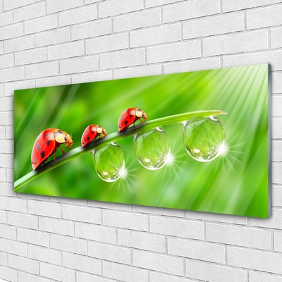 Quadro acrílico Joaninhas em uma folha cai