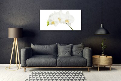 Pintura acrílica Caules de orquídeas flores natureza