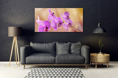 Quadro acrílico Caules de orquídeas flores natureza