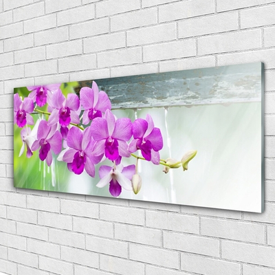 Pintura acrílica Orquídeas Gotas Natureza