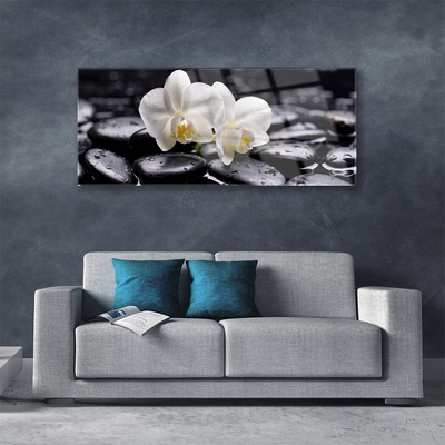Pintura acrílica Spa Zen White Orchid