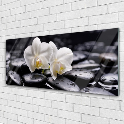 Pintura acrílica Spa Zen White Orchid
