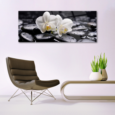 Pintura acrílica Spa Zen White Orchid
