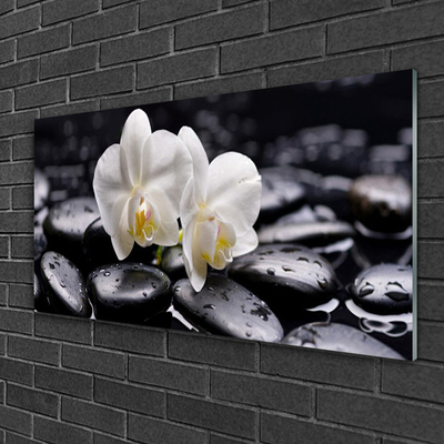 Pintura acrílica Spa Zen White Orchid
