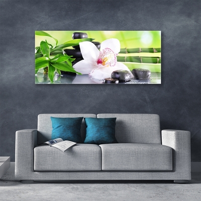 Quadro acrílico Folhas de bambu de orquídea