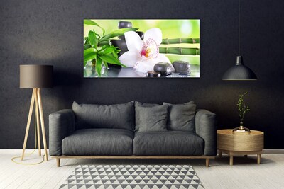 Quadro acrílico Folhas de bambu de orquídea