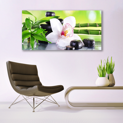 Quadro acrílico Folhas de bambu de orquídea