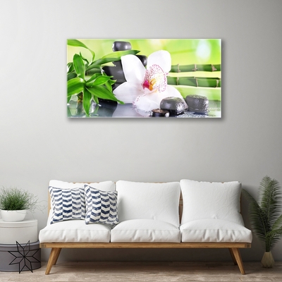 Quadro acrílico Folhas de bambu de orquídea