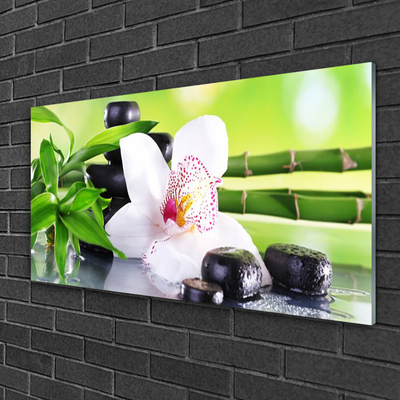 Quadro acrílico Folhas de bambu de orquídea
