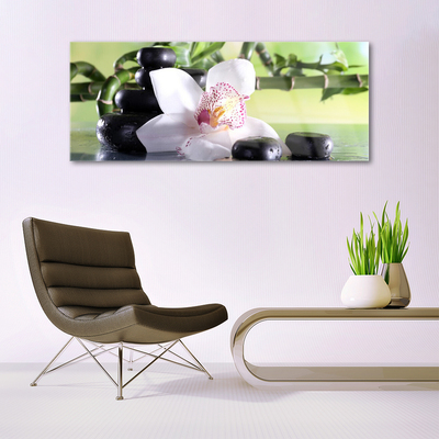 Quadro acrílico Pedras de orquídea Bambu