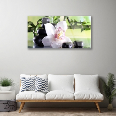 Quadro acrílico Pedras de orquídea Bambu