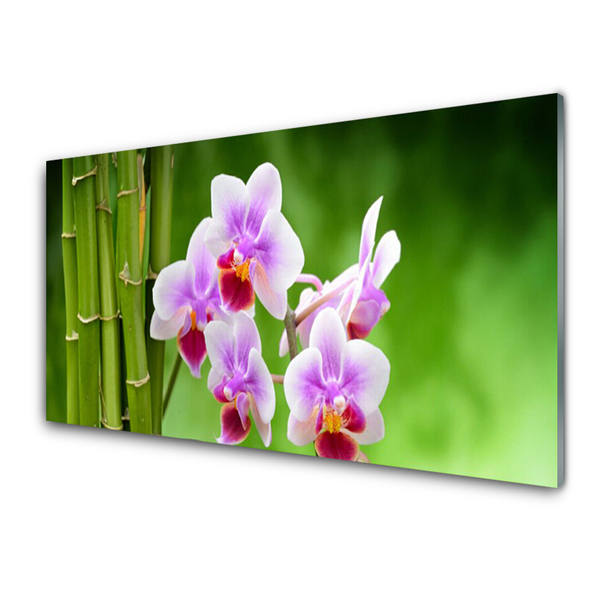 Quadro acrílico Flores de orquídea de bambu zen