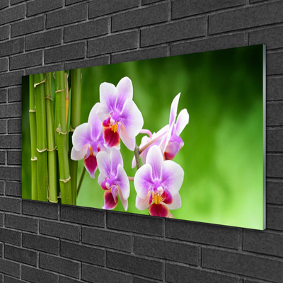 Quadro acrílico Flores de orquídea de bambu zen