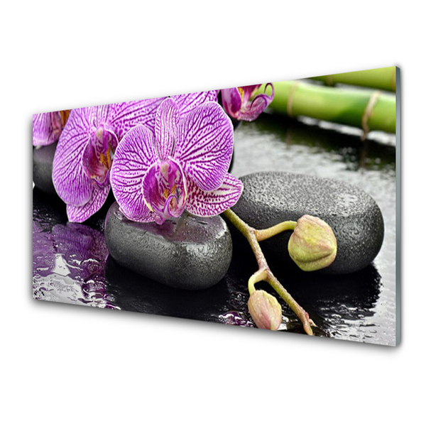 Pintura acrílica Orquídea Zen Orquídea Spa
