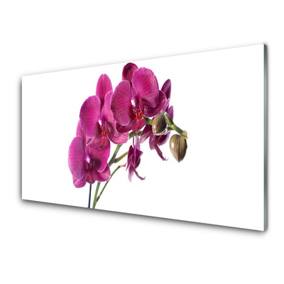 Quadro acrílico Flores de orquídeas Natureza