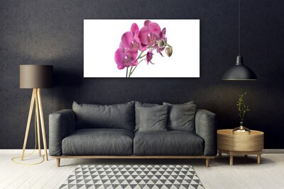 Quadro acrílico Flores de orquídeas Natureza