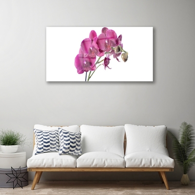 Quadro acrílico Flores de orquídeas Natureza