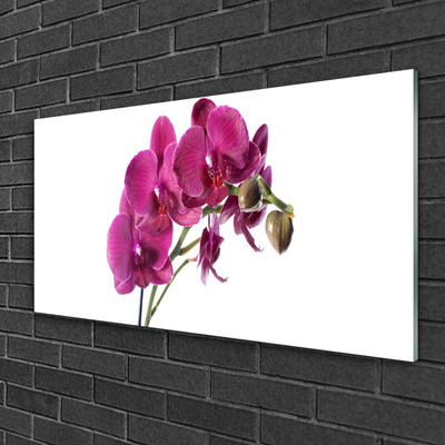 Quadro acrílico Flores de orquídeas Natureza