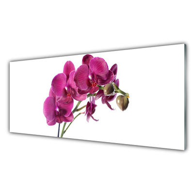 Quadro acrílico Flores de orquídeas Natureza