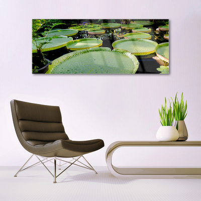 Quadro acrílico Folhas Lago Natureza