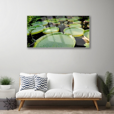 Quadro acrílico Folhas Lago Natureza