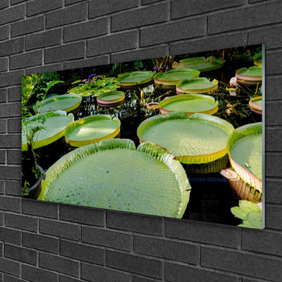 Quadro acrílico Folhas Lago Natureza