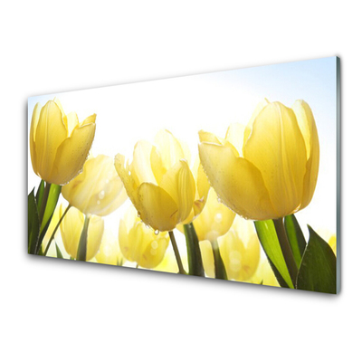 Pintura acrílica Tulipas Flores Raios