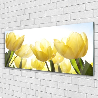 Pintura acrílica Tulipas Flores Raios