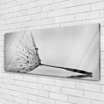 Quadro acrílico Sementes de dente-de-leão