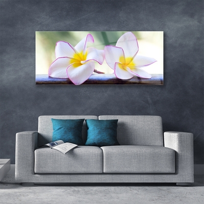 Quadro acrílico Flores Pétalas de Plumeria
