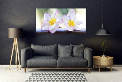 Quadro acrílico Flores Pétalas de Plumeria