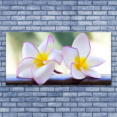 Quadro acrílico Flores Pétalas de Plumeria