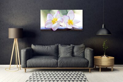 Quadro acrílico Flores Pétalas de Plumeria