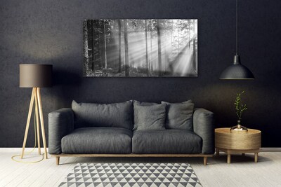 Quadro acrílico Floresta Natureza Raios Sol