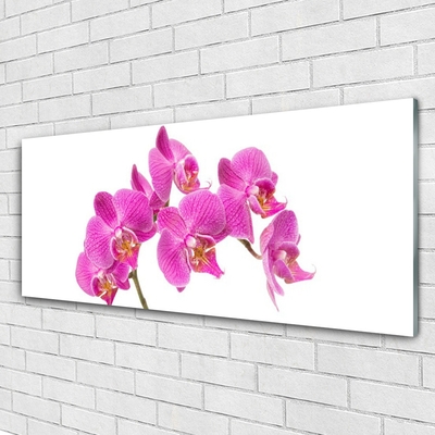 Quadro acrílico Flores de orquídeas Natureza