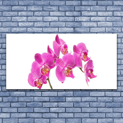 Quadro acrílico Flores de orquídeas Natureza