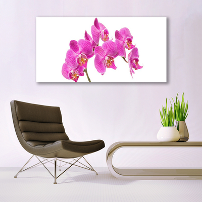 Quadro acrílico Flores de orquídeas Natureza