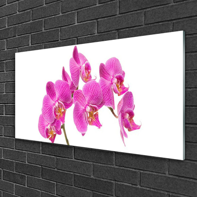 Quadro acrílico Flores de orquídeas Natureza