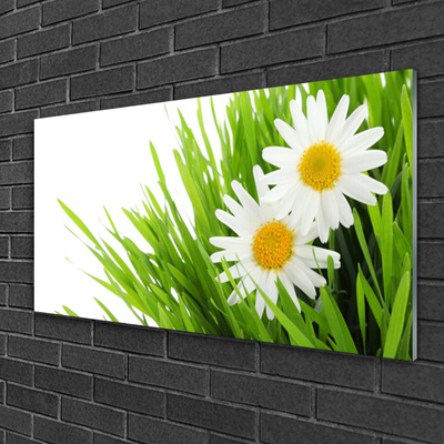 Quadro acrílico Margarida Flor Natureza