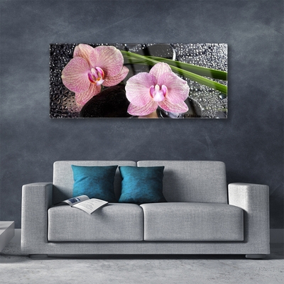 Pintura acrílica Flores Orquídea Orquídea Zen