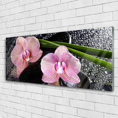 Pintura acrílica Flores Orquídea Orquídea Zen